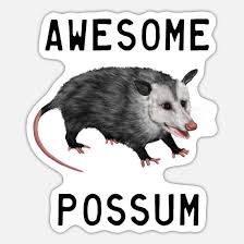opossum awesome possum sticker