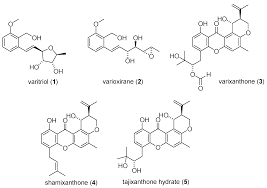 Marine Drugs | Free Full-Text | Benzyl Alcohol/Salicylaldehyde-Type  Polyketide Metabolites of Fungi: Sources, Biosynthesis, Biological  Activities, and Synthesis