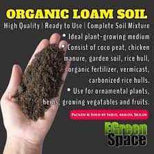 loam soil 4kilos lazada ph