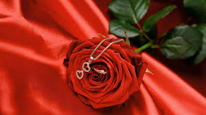 أجمل  الورود الحمراء  في العالم    Images?q=tbn:ANd9GcQL0JHW7Zcdlkm8Krxpr38_vlCkLXP62IZ1L_WU_JdjTPR7ZIxkDg