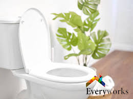 Installing A New Toilet Bowl