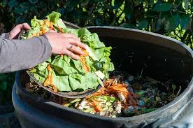 Composting Ratio Carbon To Nitrogen Whats The Right Number