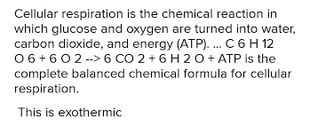 Write A Chemical Equation To Show The