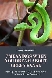 7 meanings when you dream about green snake