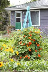 colorful vegetable gardens