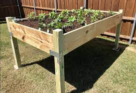 diy raised garden bed plans for seniors