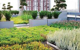 Green Roofs As Wildlife Habitats In