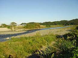 金目川（かなめがわ）は、神奈川県西部を流れ相模湾に注ぐ二級河川。 金目川 水系 の本流である。 平塚市上平塚の 渋田川 との合流点より下流は 花水川 と呼ばれる。 é‡'ç›®å· Wikipedia