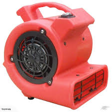 carpet fan dryer 240v hire feilding