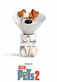 'the secret life of pets' is a silly, poor excuse for a 'toy story' retread. The Secret Life Of Pets 2 Movie Review 3 5 5 Critic Review Of The Secret Life Of Pets 2 By Times Of India