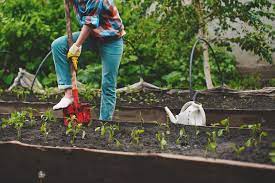 Time Gardener Vegetables To Grow