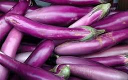 Should you salt Chinese eggplant?