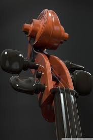 cello scroll pegbox close up ultra hd