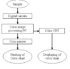 Process Flow Of Making Color Chart Download Scientific