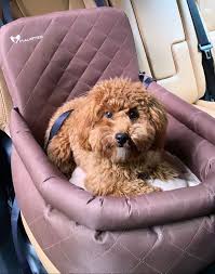 Pet Car Beds Pet Car Seat Dog Car Seats