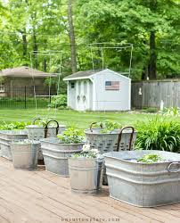 5 Tips For Growing Herbs In Containers