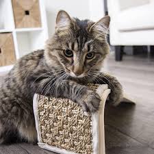 petlinks carpet sisal seagr cat