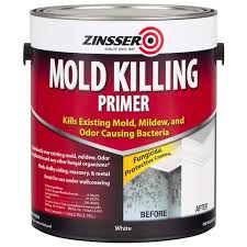 Mold Killing Interior Exterior Primer