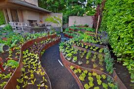 Stunning Vegetable Garden Sonoma