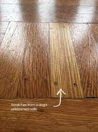 inside dogs and hardwood floors