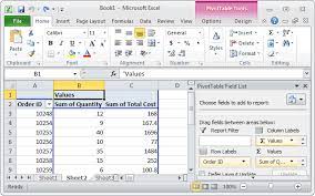 ms excel 2010 display the fields in