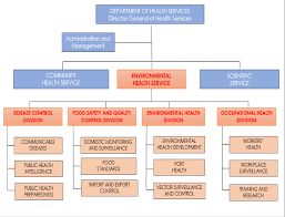 Ministry Of Health Organisational Chart