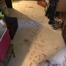 mountain best carpet upholstery cleaning