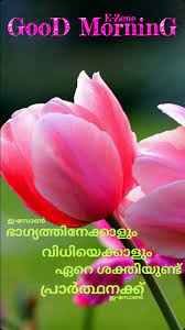 Collection of latest good morning malayalam images for whatsapp and facebook. Pin By Aji Korathan On Good Morning Malayalam Good Night Image Morning Pictures Bible Words Images