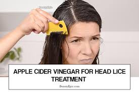 how to treat head lice with apple cider