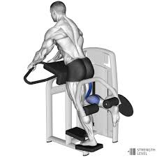 standing leg curl standards for men and
