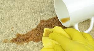fresh n green carpet cleaning services