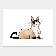 Snowshoe Cat Posters And Art Prints