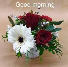 Good morning flowers for my lovely friend. Lovely Flowers Good Morning Dear Friends Have A Wonderful Day Facebook