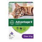 Large Cat Once-A-Month Topical Flea Treatment - Over 4 kg 6 Count Advantage II