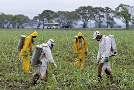 Continente Americano, el mayor consumidor<br>El uso de pesticidas se duplicó de 1990 a 2021, alerta la FAO