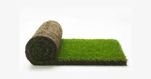20mm artificial Grass