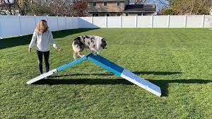a frame dog agility r how to build