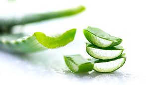 You can add them in your smoothies; 5 Diy Aloe Vera Based Face Packs For Glowing Skin Be Beautiful India