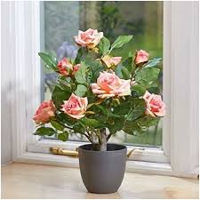 Artificial Regent S Rose Potted Plant