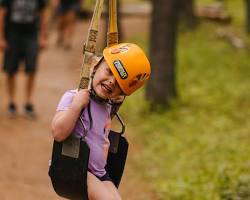 Image of MiniZips for Kids at Treeosix Adventure Parks