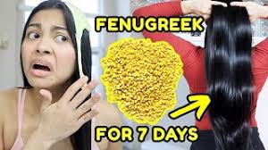 6 benefits of fenugreek for your hair
