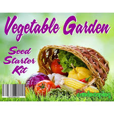 Vegetable Garden Seed Starter Kit