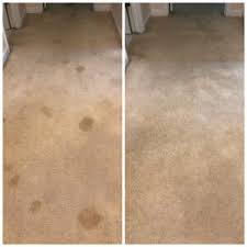 carpet cleaning mesa az 1 rated