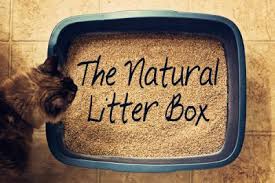 how to keep a natural litter box and