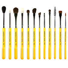 studio series eyes brush set and pouch