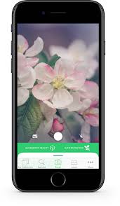 Here are eight of the best apps to help you identify all of those plants and flowers that have you saying. Plantsnap Plant Identifier App 1 Mobile App For Plant Identification