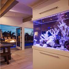 Aquarium Home Design Online gambar png
