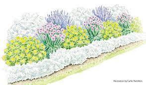 Grow A Drought Tolerant Border With