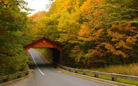 Americas Best Drives For Spotting Changing Leaves Travel