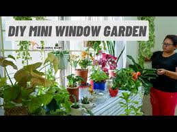 Zen Indoor Garden With Houseplants On